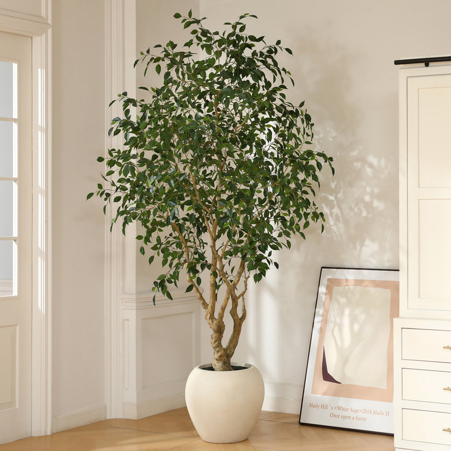 Adcock 8ft Artificial Ficus Tree with 18in White Planter, Tall Faux Ficus Tree for Outdoor